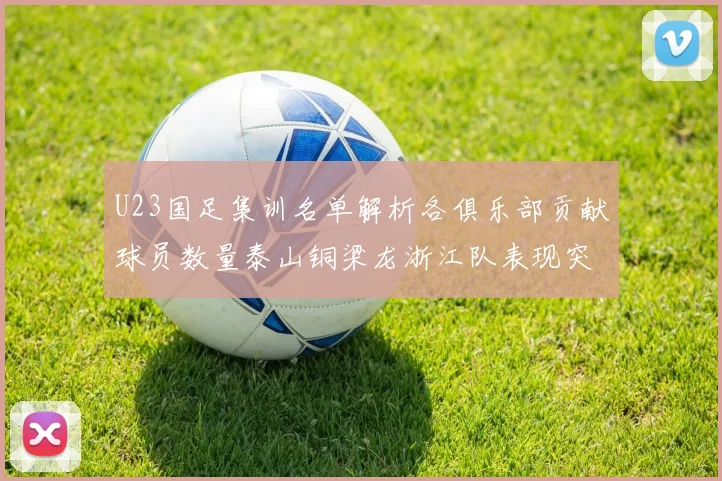 U23国足集训名单解析各俱乐部贡献球员数量泰山铜梁龙浙江队表现突出